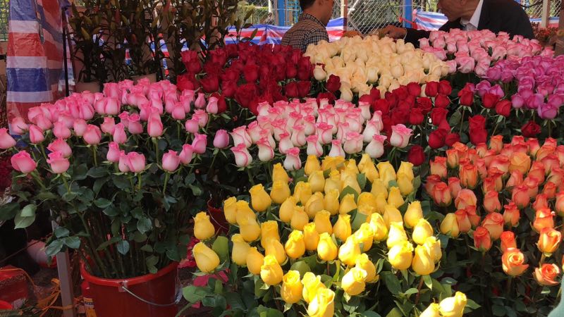 1518573861128200.jpg 1518573861128200.jpg